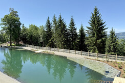 Naturteich Pöllauberg