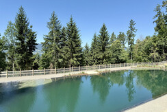 Naturteich Pöllauberg