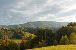 XDetail (26)_kleines