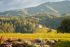 XDetail (24)_kleiner