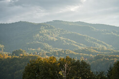 XDetail (25)_kleines