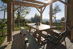 Terrasse das Weinberg