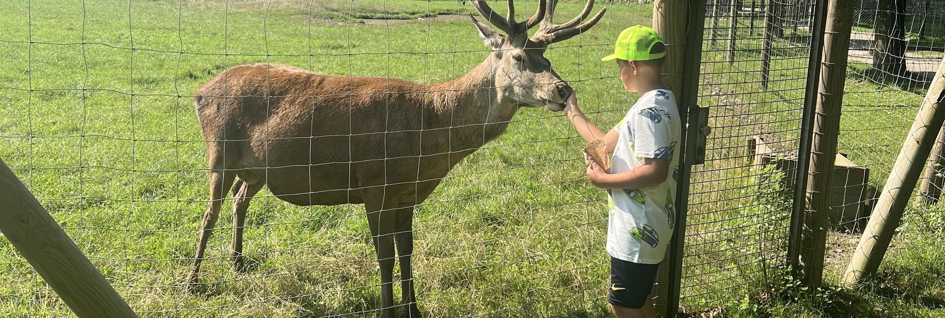 Wildgehege der Familie Koch