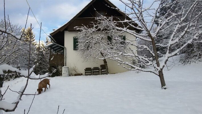 Ferienhaus Winter | © Ferienhaus Binder