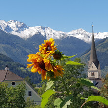 balkonblick vom appartement das försterhaus