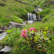 unterwegs mit dem eigenen gep. bergwanderführer