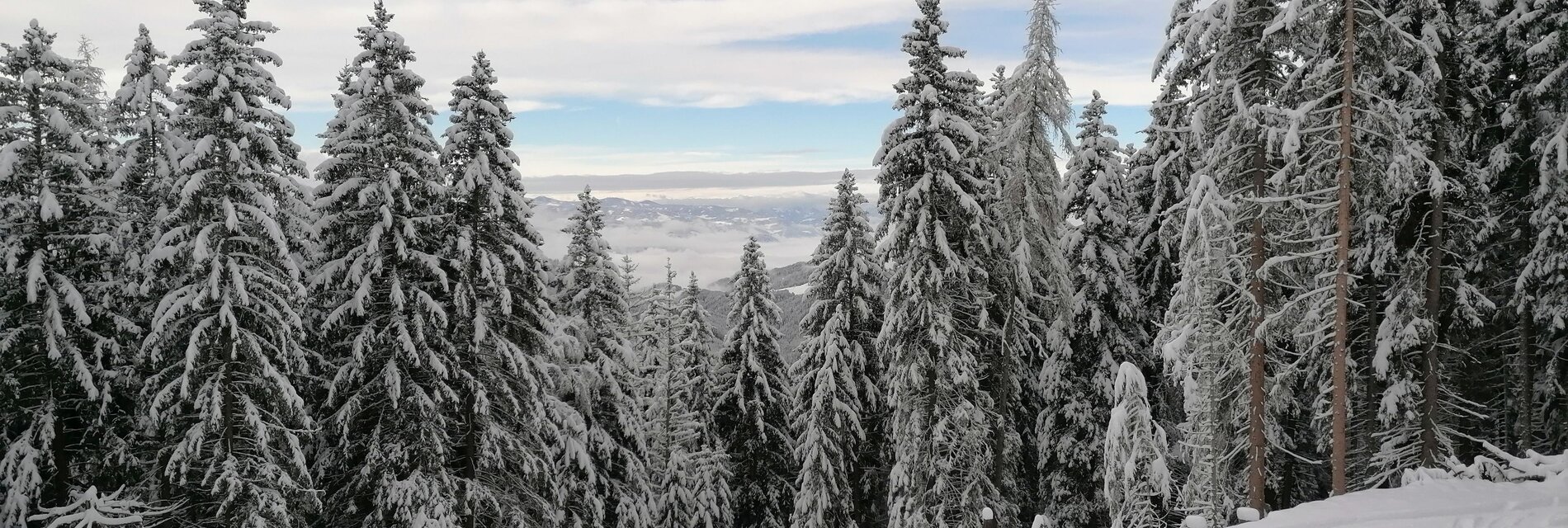 FerienhausFuchsbau-Winter-Murtal-Steiermark