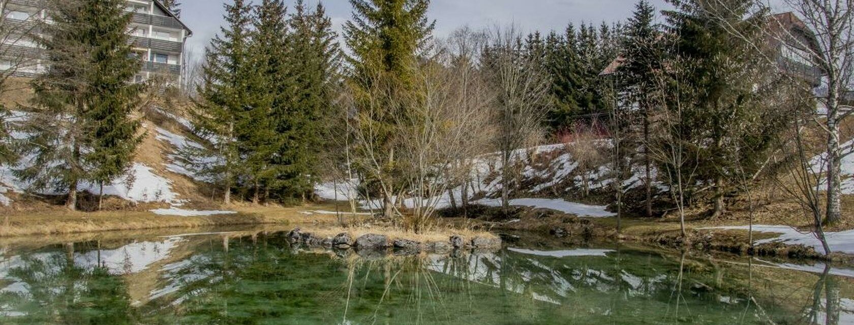 Ferienhaus Fux, Bad Mitterndorf, Aussicht vom Haus