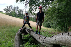 Ferienhaus Grabenhansl