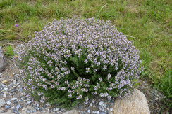 Ferienhaus Grabenhansl