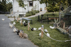 Herbsthof Leutschach WEB (C) nicoleseiser-at-313