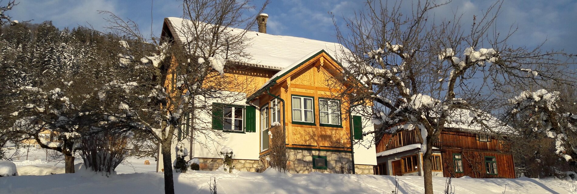 Haus Ingrid Loitzl, Altaussee, Winter
