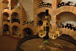 Wine cellar