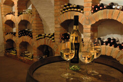 Wine cellar