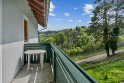 Photo_12