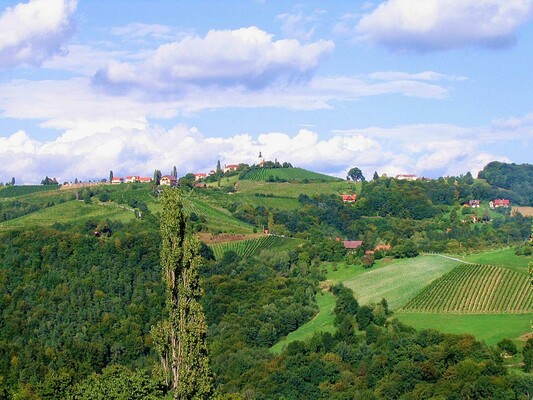 blick-auf-kitzeck | © Sinemus