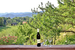Ferienhaus Possath Ausblick mit Wein