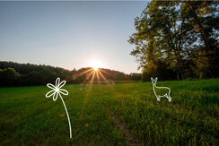 Rekreation_Ausblick mit Reh