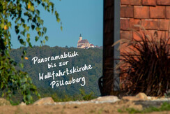 Rekreation_Pöllauberg