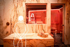 RDFH_Best of global Wellness