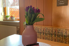 FerienhausSilke-Küche-Murtal-Steiermark