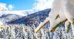 winteransicht murau 2