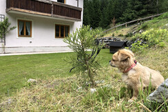 Foto 27.06.24, 12 23 13