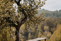 Imagefotografie©MichaelaLorber-01256