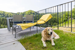 Terrasse mit Sonnenliege
