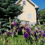 Bild von Ferienhaus klein und fein