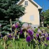 Bild von Ferienhaus klein und fein