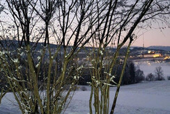 Winterstimmung Schloss Stainz