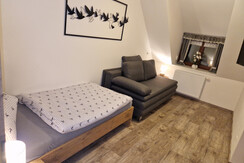 Zimmer mit ausziehbarer Schlafcouch und TV