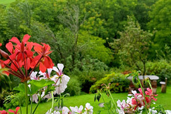 Aussicht Einzelzimmer