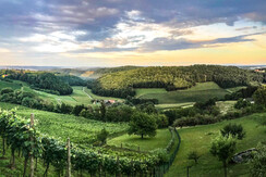 B9B6C36A-71FD-4113-80AC-722C3E7B8701