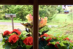 15 Fenster nach Westen