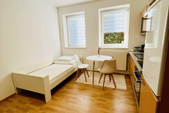 FerienwohnungB8-Zimmer-Murtal-Spielberg