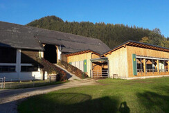 Ferienwohnung Daniela, Bad Mitterndorf, Stall