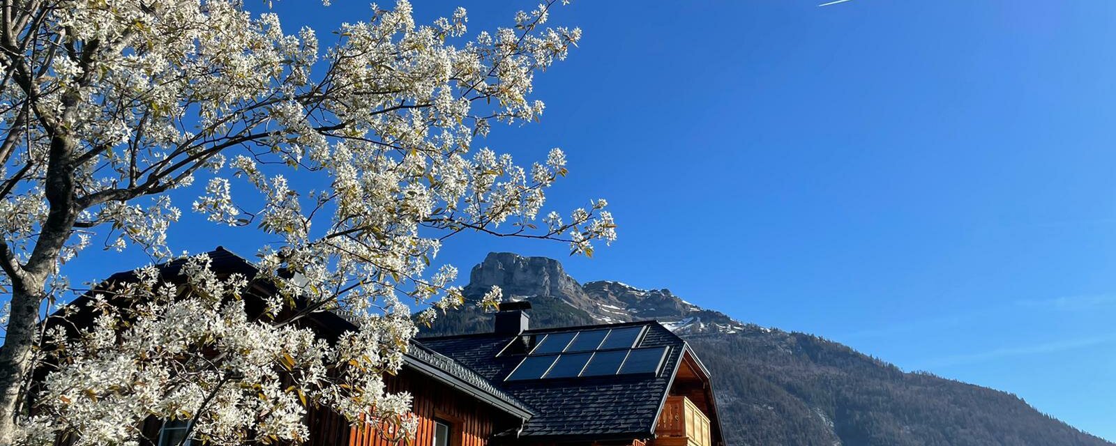 Ferienwohnung Flora, Altaussee, Außenansicht