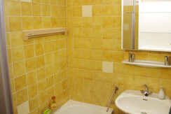 Apartment smal & nice, Bad Aussee, bath