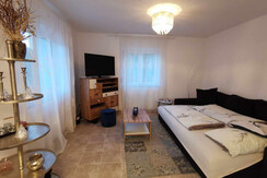 Living room with sofa bed