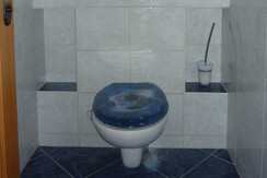 Apartment Möstl , Bad Aussee, toilet