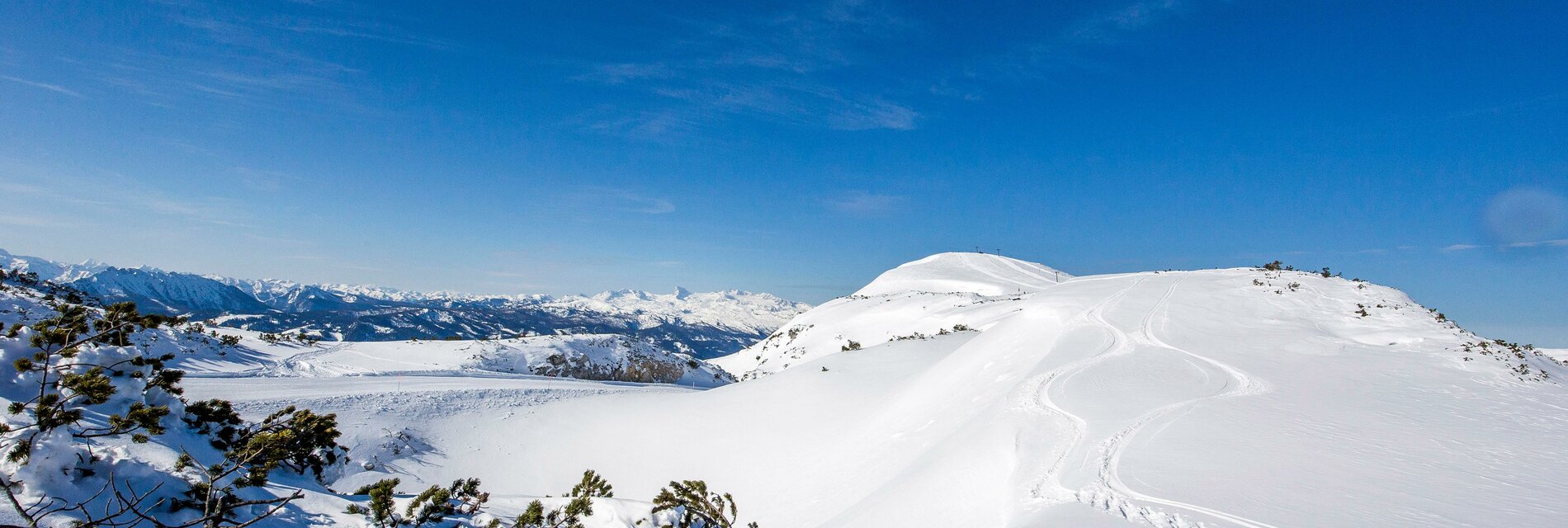 Lawinenstein im Winter