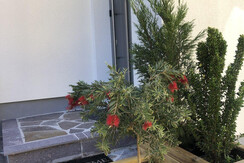 FW Katharina Eingang