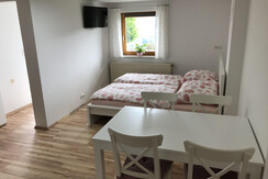 bedroom and living room