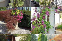 FerienwohnungWaldblick-Garten-Murtal-Steiermark