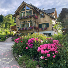 IMG-20220713-WA0017