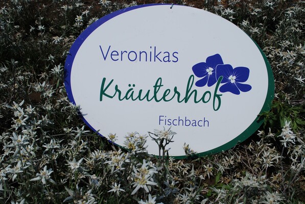 Edelweiß am Kräuterhof | © Veronikas Kräuterhof