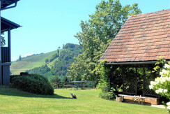 Der Garten mit der überdachten Weinlaube