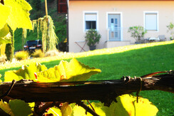 Das Gebäude mit der Ferienwohnung